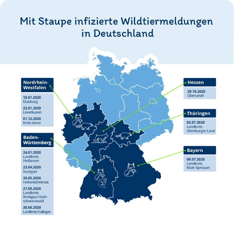 Deutschlandkarte: Wildtiere mit Staupe 2020