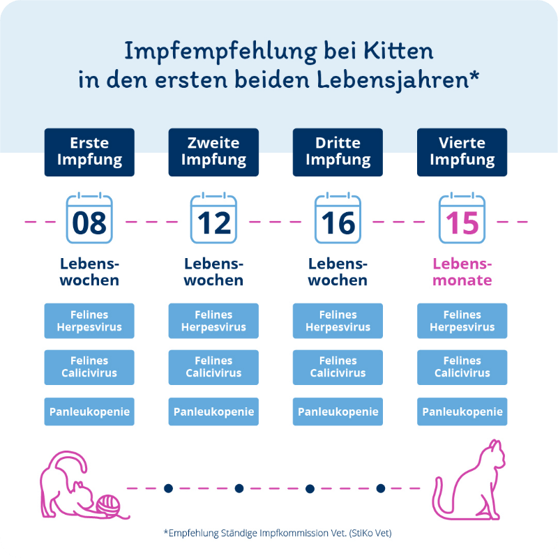Grafik: Impfempfehlung bei Kitten in den ersten beiden Lebensjahren.