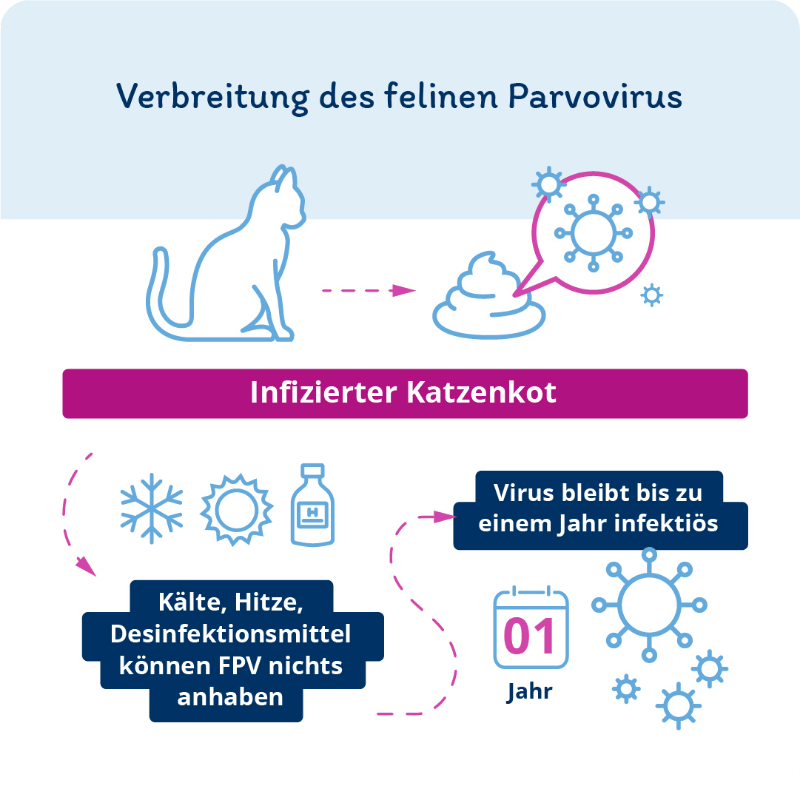 Grafik: Verbreitung des felinen Parvovirus