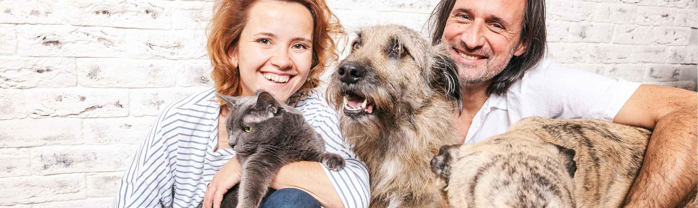 Familie mit Hund und Katze - ein tierisch gutes Team.