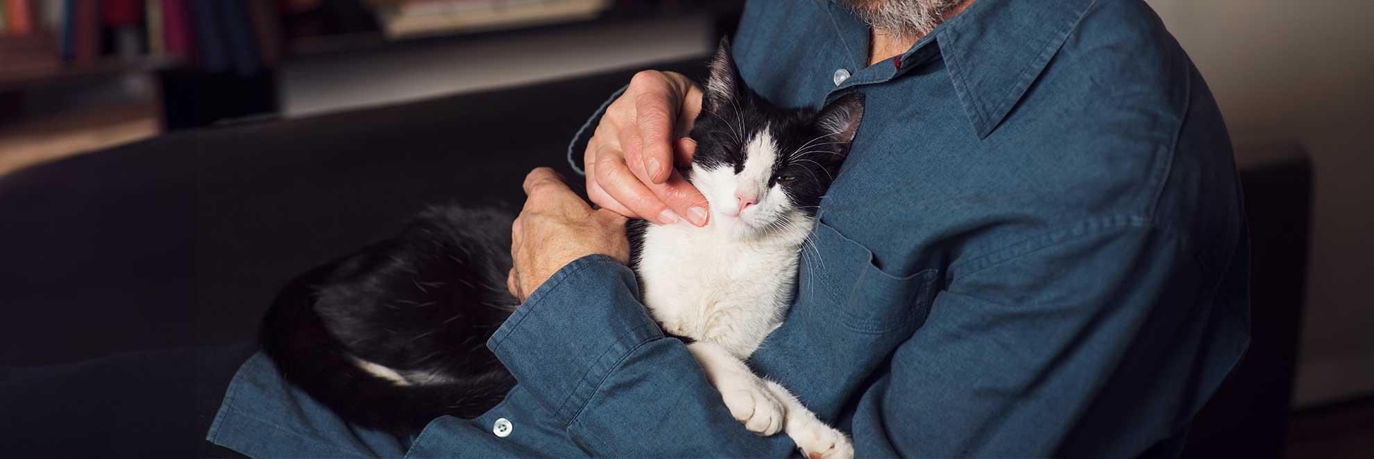 alter Mann und alte Katze kuscheln: Wie alt werden Katzen?