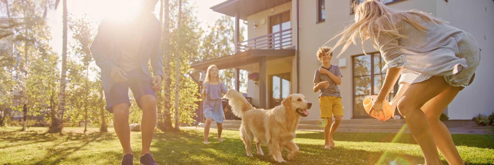 Familie spielt mit Familienhund