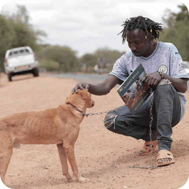 Welt-Tollwut-Tag Hund Kenya World Rabies Day