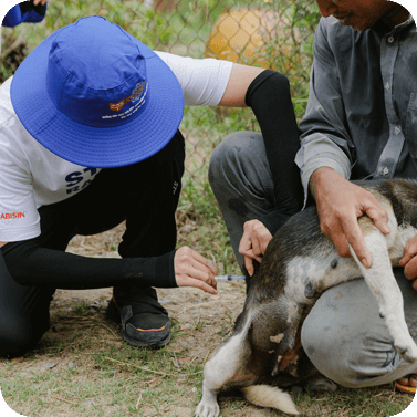 Welt-Tollwut-Tag Hund Impfung Vietnam World Rabies Day