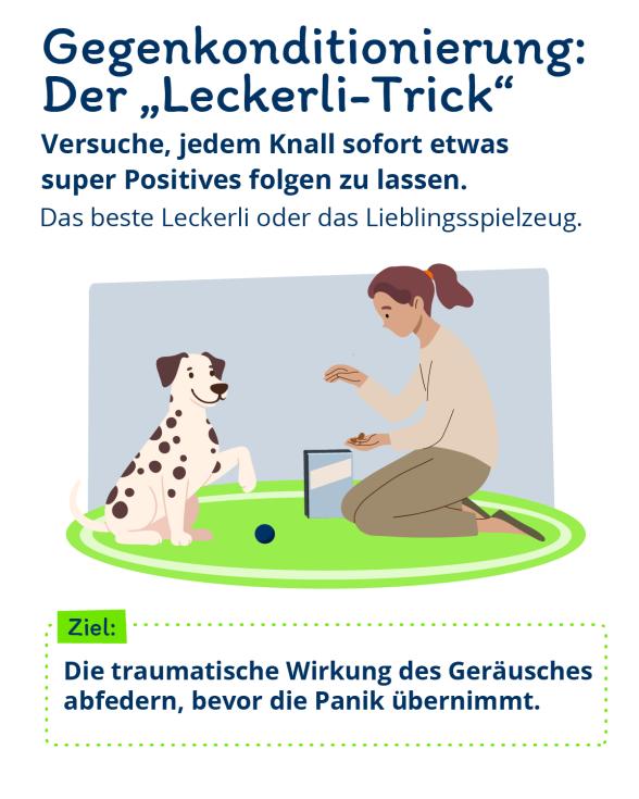 Infografik: Bei Geräuschangst Hund Leckerli Training