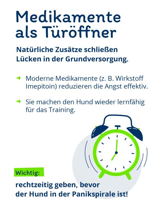 Infografik: Medikamente Geräuschangst Hund