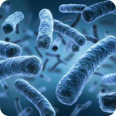 Computergenerierte Aufnahme von Bakterien.