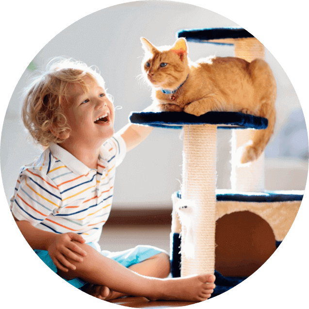 Kind spielt mit Katze, die auf einem Kratzbaum sitzt.